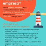 descubriendo el rol crucial que hace un financista en una empresa